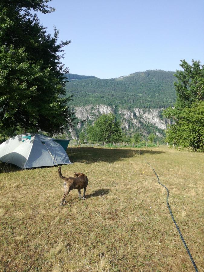 Rafting Camp Apartments Montenegro Goran Lekovic Žabljak Buitenkant foto