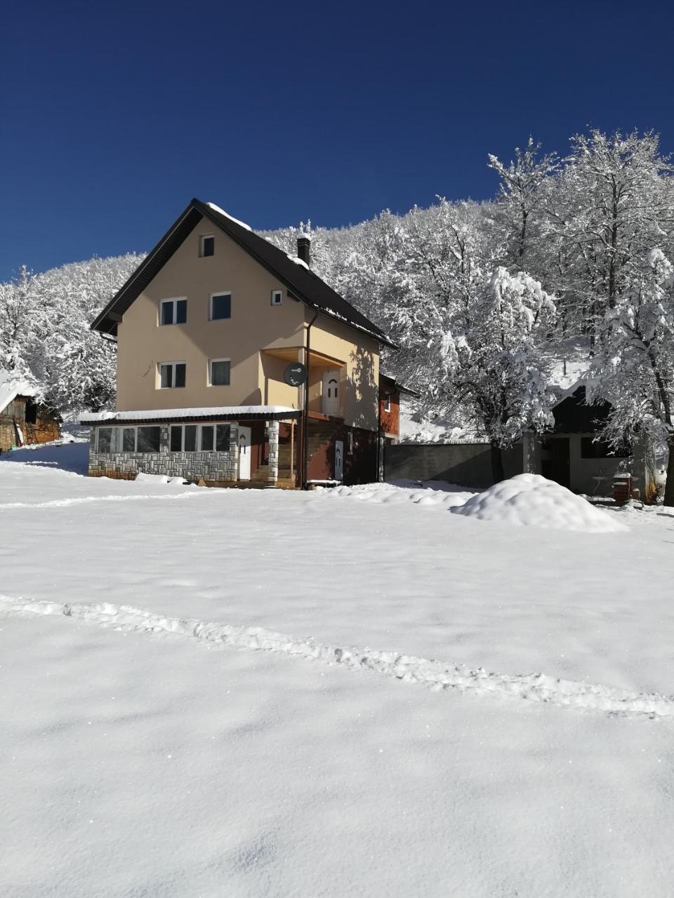 Rafting Camp Apartments Montenegro Goran Lekovic Žabljak Buitenkant foto